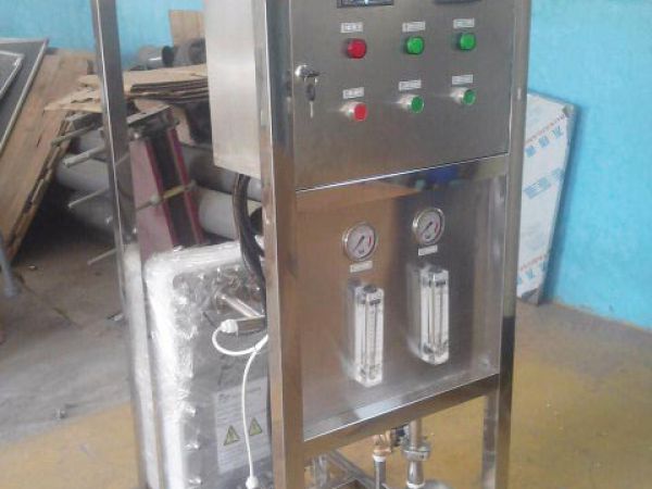 0.5吨EDI设备